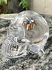 45ACP Hollow Point Resin Skull – Handmade Decor