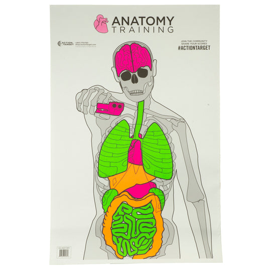 Action Target, Anatomy Training 23"x35", 100 Per Box - LEGACY TACTICAL INC