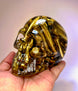 223 Clear Epoxy Bullet Skull - LEGACY TACTICAL INC