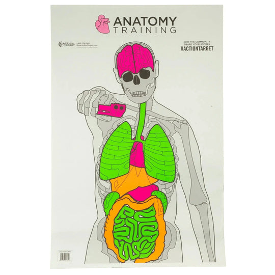 Action Target Anatomy Training Targets 23x35 - 100 Pack